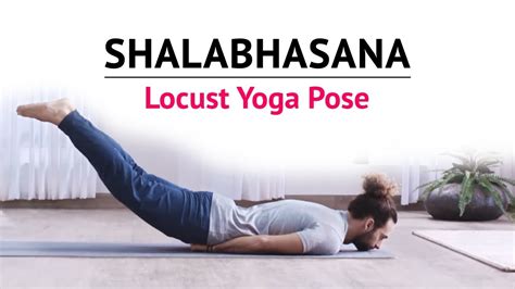 Shalabhasana | Locust Yoga Pose | Steps | Benefits | Yogic Fitness - YouTube