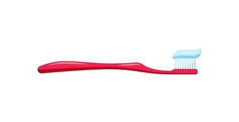 Toothpaste on the the toothbrush vector 24719087 Vector Art at Vecteezy