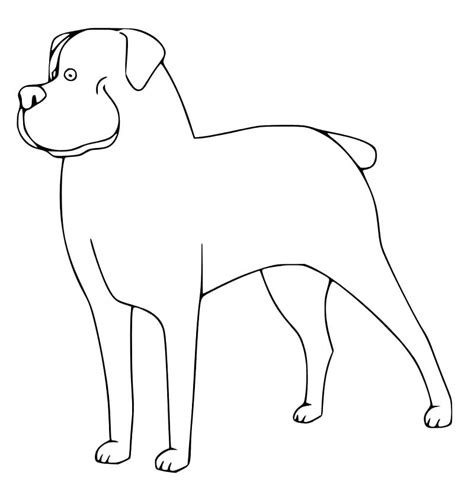 Smiling Rottweiler coloring page - Download, Print or Color Online for Free