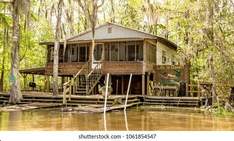 Louisiana Bayou Stock Images, Royalty-Free Images & Vectors | Shutterstock