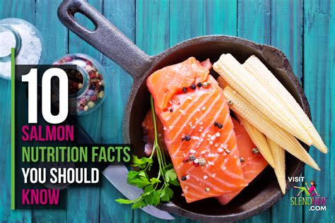 10 Salmon Nutrition Facts You Should Know - SlendHer