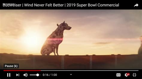 Budweiser's Super Bowl commercial is out with a message about the ...