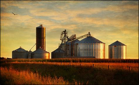 Grain Bins at Sunset | Northwest Iowa. Nice on black. Textur… | Flickr