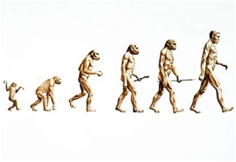 darwinвЂ™s theory of evolution