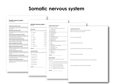 Somatic nervous system | Made By Teachers