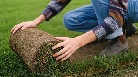 How To Install Turf Grass: Step-by-step Guide | GoTurf