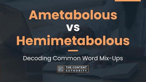 Ametabolous vs Hemimetabolous: Decoding Common Word Mix-Ups