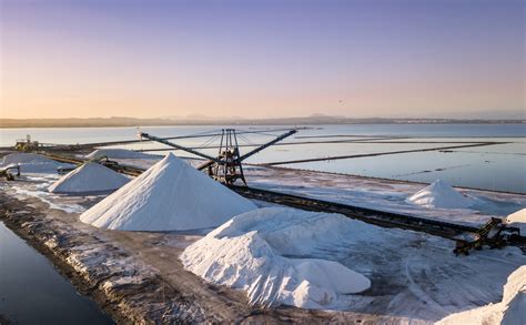 Up close with flamingos, Torrevieja salt lakes train tours