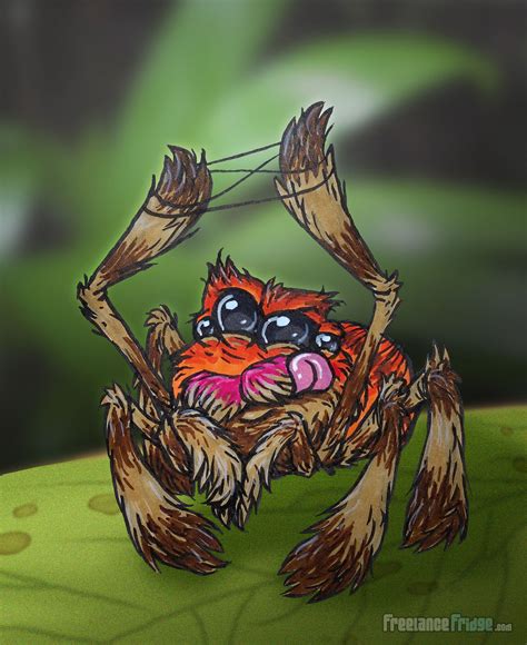 Cute Jumping Spider Cartoon Drawing – Freelance Fridge- Illustration ...