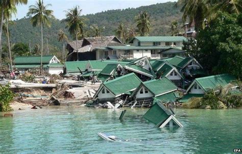 Tsunami 2004: Cardiff tourist stayed in bed and survived - BBC News