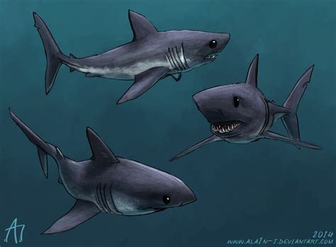 SW 2014 Salmon Shark by ALA1N-J on DeviantArt