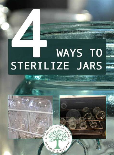 4 Ways to Sterilize Jars