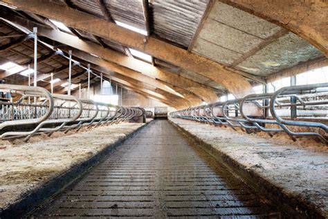 Dairy farm barn buildings - Stock Photo - Dissolve