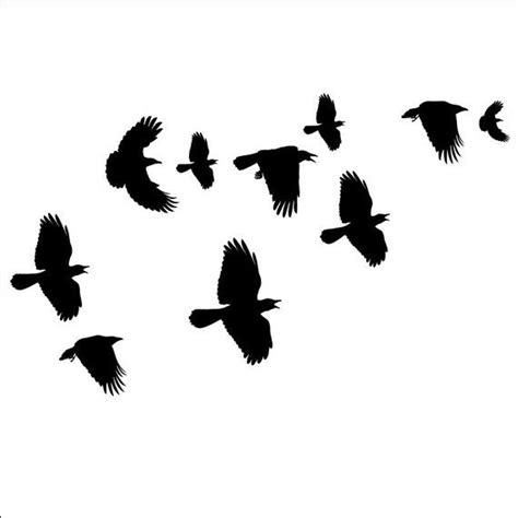 Flock of Crows Wall Decals | Flock of crows, Crow silhouette, Crow