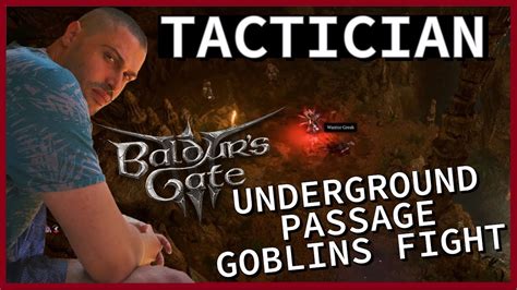 Baldur's Gate 3 - Tactician Difficulty - Underground Passage - Goblins Fight [PC] [ULTRA] [2023 ...