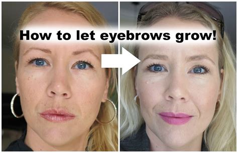 How to let your eyebrows grow back!