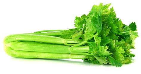 Celery seed extract lowers blood pressure (and does much more)