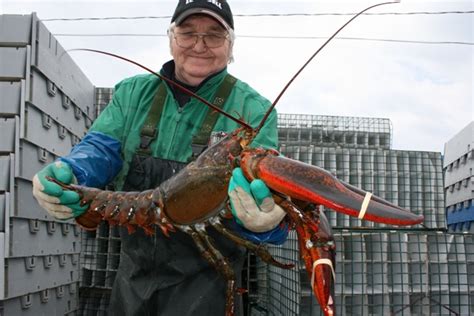 Yarmouth 250 – One Giant Homecoming for Colourful Nova Scotia Town – LIFE AS A HUMAN