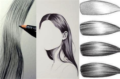 How To Draw Secrets Learn How To Draw Realistic Hair - vrogue.co