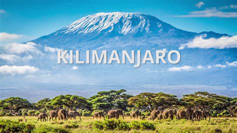 Mt. Kilimanjaro Summit Day - YouTube