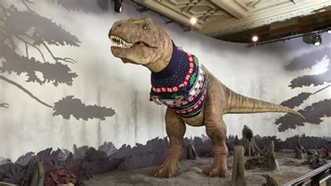 T.rex gets Christmas jumper at Natural History Museum in London - BBC News