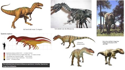 Allosaurus Size Comparison Diagram