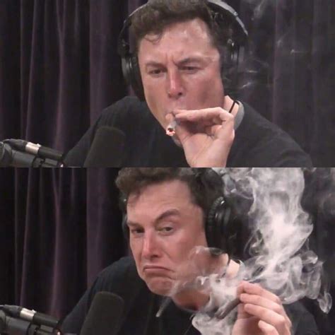 Elon Musk smoking weed blank meme : r/memes