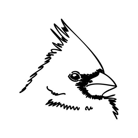 cardinal bird vector sketch 36437436 Vector Art at Vecteezy