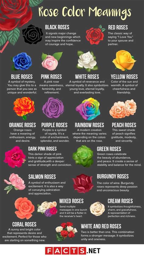 18 Rose Color Meanings That Are Just More Than Romantic | Facts.net