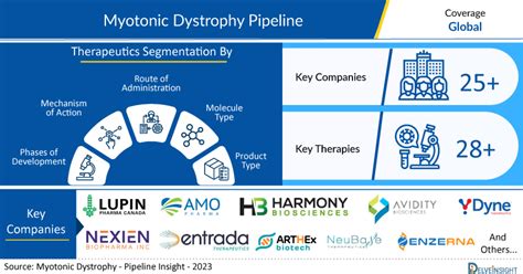 Myotonic Dystrophy Pipeline Appears Robust With 25+ Key