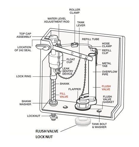 Parts of a Toilet Explained