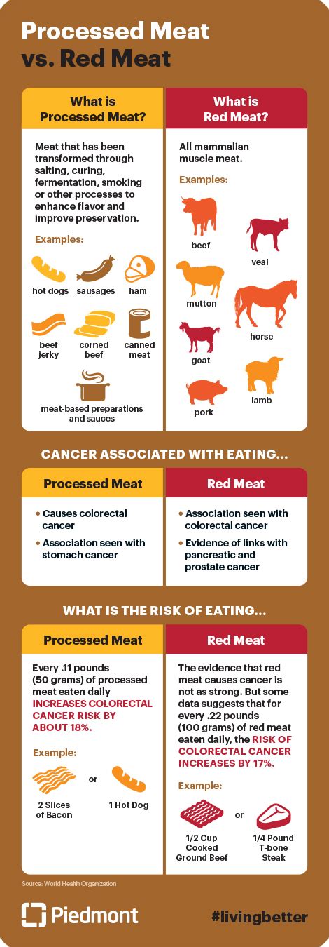 Processed Meat vs. Red Meat Fact Sheet | Piedmont Healthcare