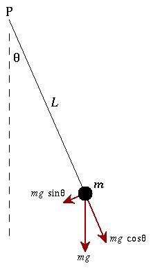 Oscillation of a Simple Pendulum