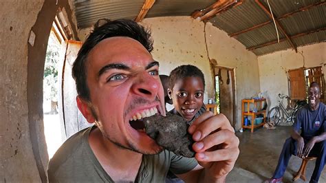 EATING THE INSECT COOKIE!!! (100% FLIES!!!) - YouTube