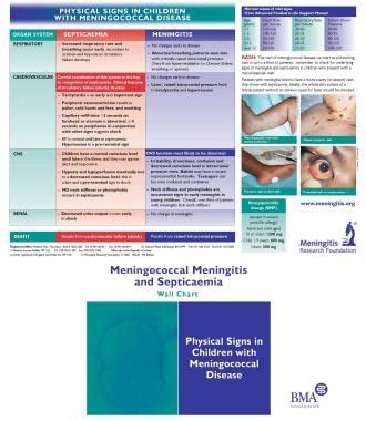 Meningococcemia Treatment & Management: Approach Considerations ...