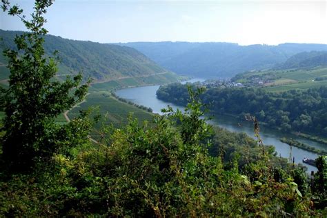 Why You Should Visit the Mosel Valley in Germany this summer