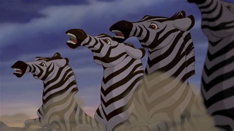 Lion Fight Zebra