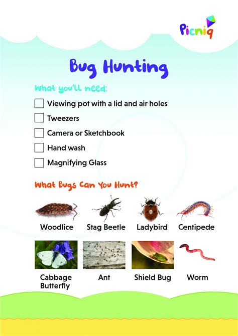 Bug Hunting: The Ultimate Guide - Picniq Blog