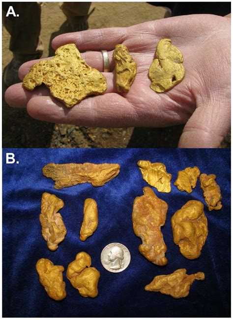 Minerals | Free Full-Text | Biological and Geochemical Development of ...