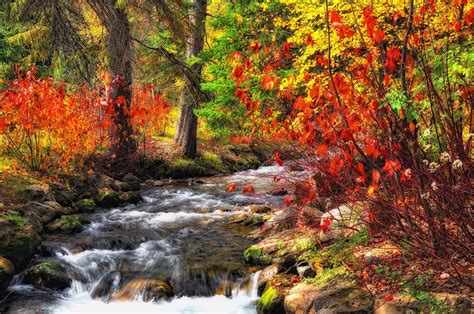 Autumn River Wallpapers - Top Free Autumn River Backgrounds - WallpaperAccess