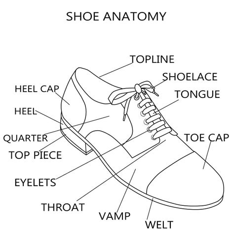 Anatomy Of Shoes