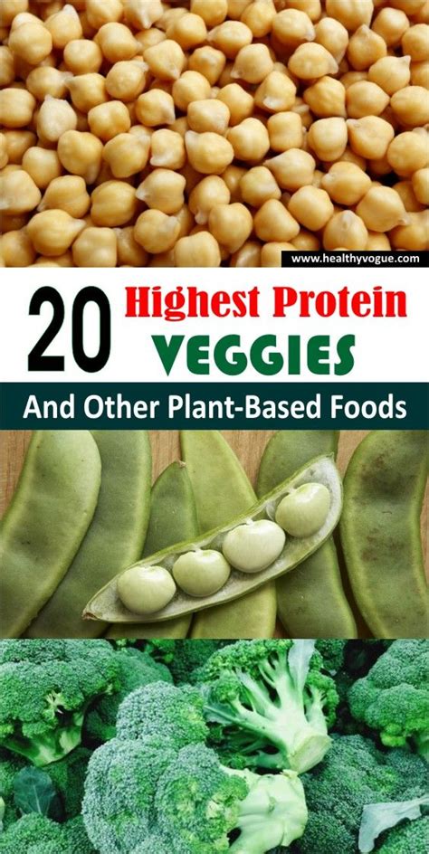 The 20 Highest Protein Veggies (And Other Plant-Based Foods) You Can Eat | High protein ...