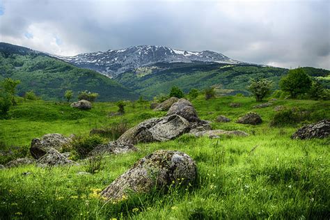 Vitosha mountain, Bulgaria. Photograph by Steve Whitham