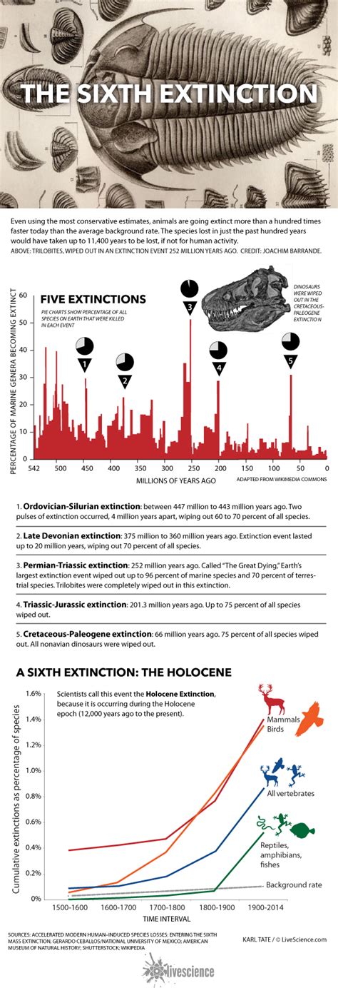 The New Dying: How Human-Caused Extinction Affects the Planet (Infographic) | Live Science