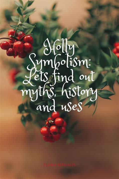 Holly symbolism lets find out myths history and uses – Artofit