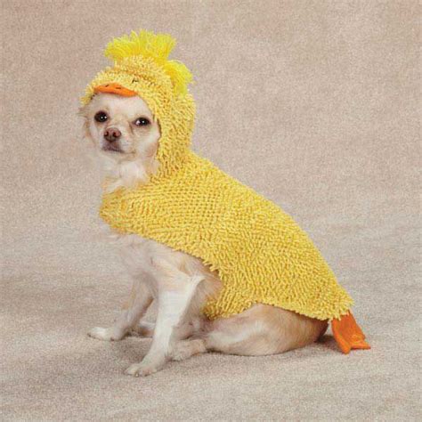 Duck Halloween Dog Costume | Dog halloween costumes, Dog halloween, Pet halloween costumes