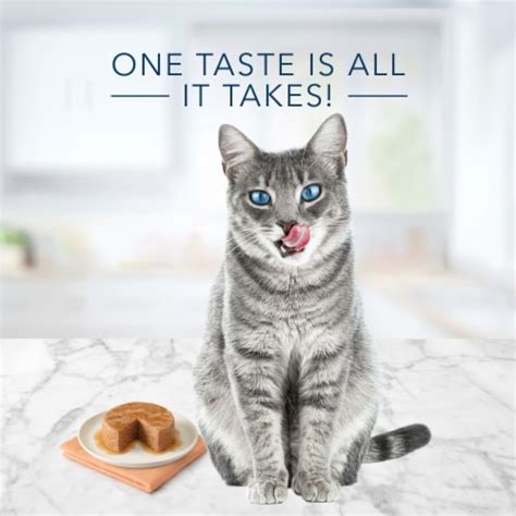 Blue Buffalo Tastefuls® Chicken Entree Pate Wet Cat Food, 5.5 oz ...