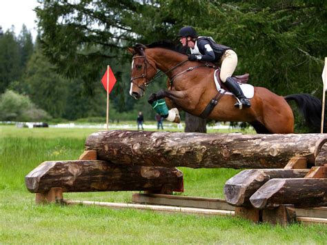 Cross-Country Equestrian Jumping