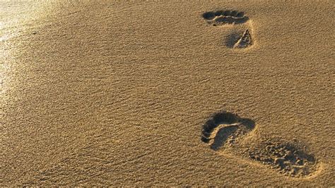 Beach, Sand, Footprint | Free HD wallpapers Sand Footprint, Free Hd Wallpapers, Beach Sand, Cove ...