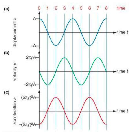 Mathematical Description of SHM | Digestible Notes